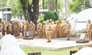 IMG-20250210-WA0056-768x511